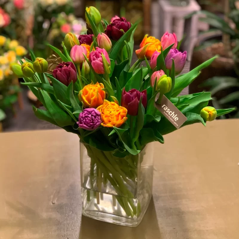 tulpen25_img_5552-high